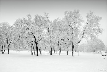 Nach Schneefall / [img]https://i.imgur.com/wANREBh.jpg[/img]