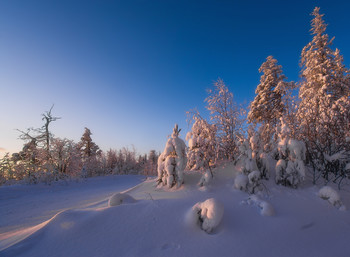 Kirillov / ***