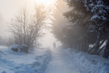 Frost auf der Straße / ***