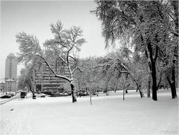 Nach Schneefall / [img]https://i.imgur.com/62mq4eF.jpg[/img]