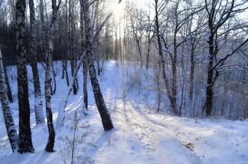 Winterlandschaft / ***