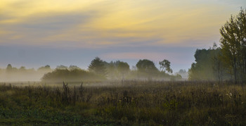 Morgennebel. / ***