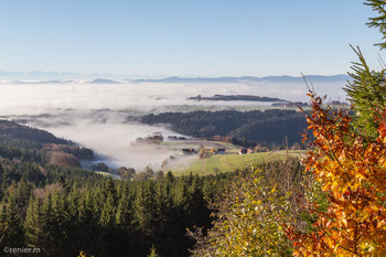 Nebel imTal / Blick vom Hornberg ins Rheintal