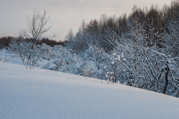 Neuschnee / ***