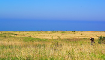 Asowschen Meer / ***