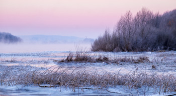 Frost. / ***