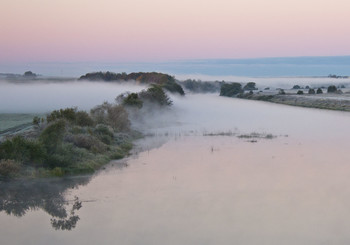 Nebel / ***