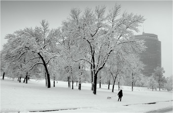 Nach Schneefall / ***