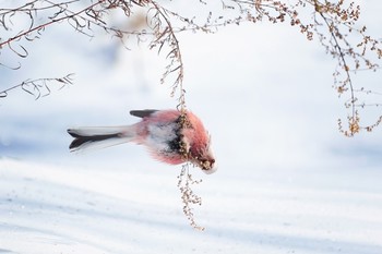   / https://www.youtube.com/watch?v=Ru6l5dpGLDQ&feature=emb_logo