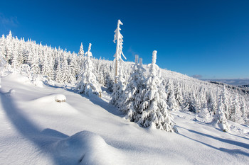 Winter im Böhmerwald / Winterlandschaft im Böhmerwald