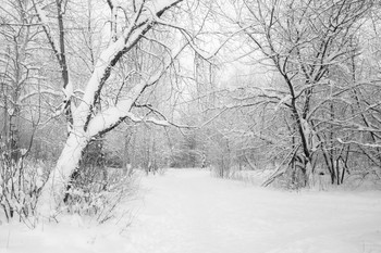 Wetter wieder ... / ***