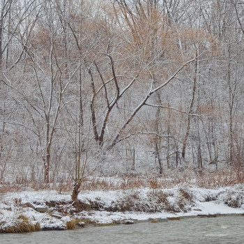 Am Fluss / ***