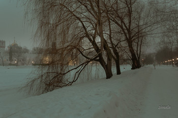 Gerade im Winter / ***