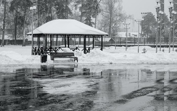 Der Stadtpark / ***