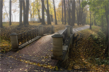 Herbst in der Stadt / ***