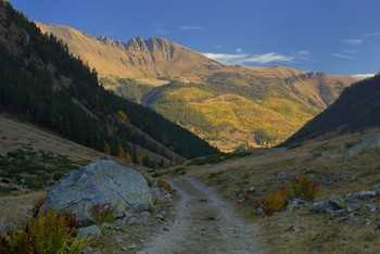 Morgen in den Bergen / ***