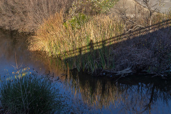 von der Brücke / ....