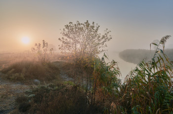 Oktober Nebel / ***