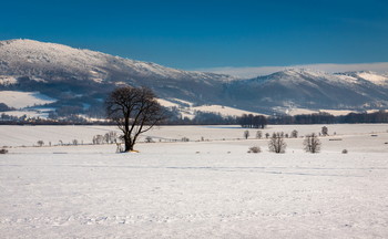 Góry Opawskie / ***