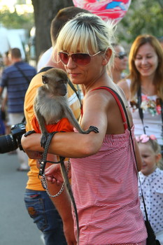 &nbsp; / ..............