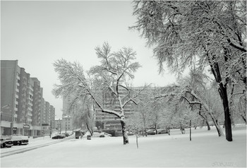 Nach Schneefall / ***