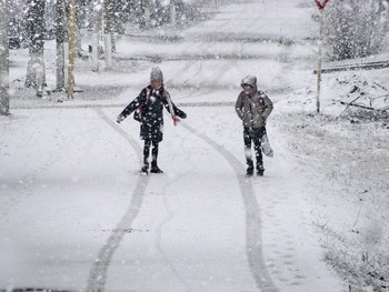 und der Schnee geht ... / ***