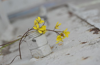 Estar en lugar adecuado. / Composición adecuada?