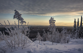 Winter / ***
