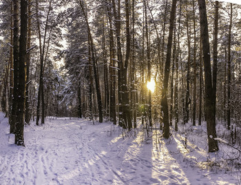 &nbsp; / 16.01.2021.