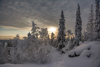 verschneite Winter / ***