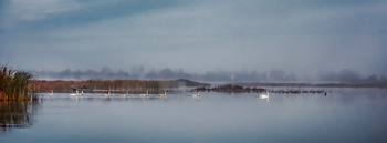 Morgen auf dem See / ***