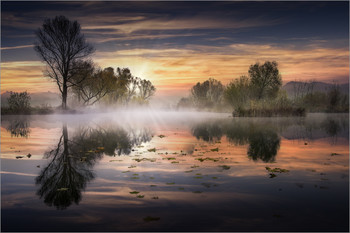 Erwachen / Morgens an einem kleinen Teich in der Steiermark.