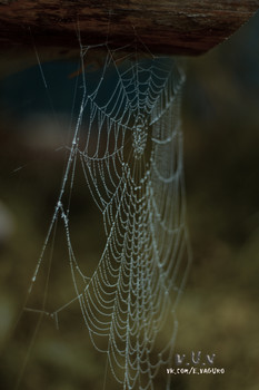 nackt / ttps://vk.com/e.vaguro

https://www.instagram.com/vaguro_v_u_v/

https://web.facebook.com/evgeniy.vagouro

https://www.pexels.com/ru-ru/@10472344