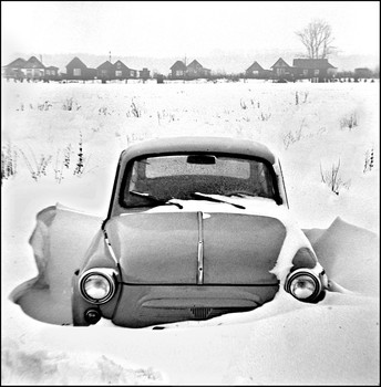 Überwinterung / ***