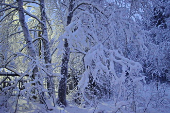 Schnee / ***