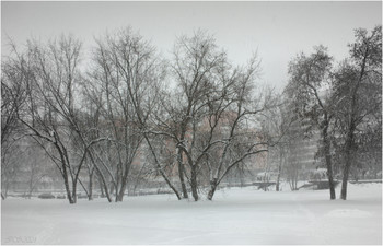 &nbsp; / [img]https://i.imgur.com/TVRULNF.jpg[/img]