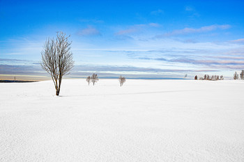 Winterlandschaft / ***