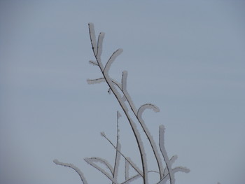A Fine Line / ***