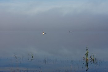 in der Schwerelosigkeit / ***