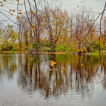 A Fine Line / Tay River, Ontario, Canada