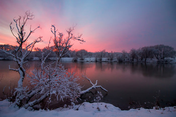 &nbsp; / -------------