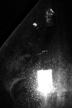 Fishuniverse / In der Ursuppe