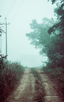 Der Geruch des Herbstes / https://vk.com/e.vaguro

https://www.instagram.com/vaguro_v_u_v/

https://web.facebook.com/evgeniy.vagouro

https://www.pexels.com/ru-ru/@10472344