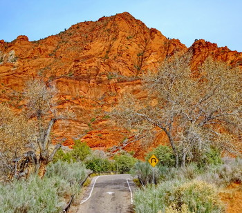 &nbsp; / Red Cliffs Park, Utah, USA