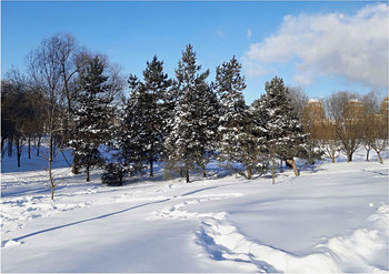 Februar / ***