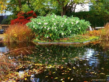 Planten un Blomen Hamburg / ***