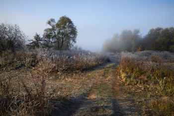 Morgen Farben sanften Licht ... / ***