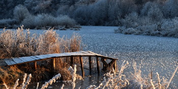Brücke / ***