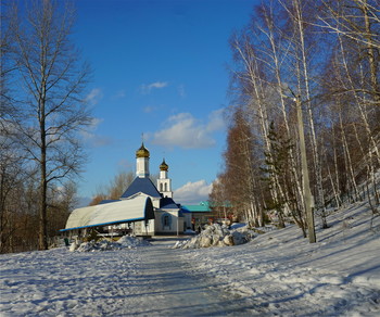 &nbsp; / ____________