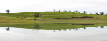 Spiegelung / Landschaft spiegelt sich im See
